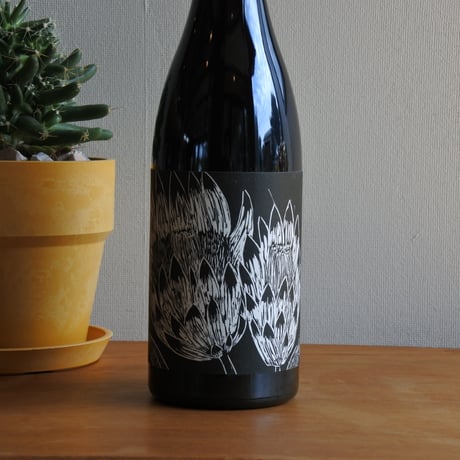 Syrah & Friends 2016（シラー アンド フレンズ 2016）/Frederick Stevenson フレデリック・スティーヴンソン