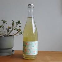 Sea Foam 2023 / Unico Zelo - シー フォーム 2023 /ウニコ・ゼロ