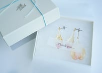ギフトメッセージ帯