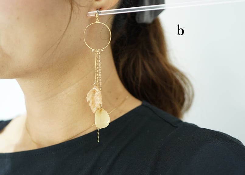 porte-bonheur ピアスa.b | Little Witch