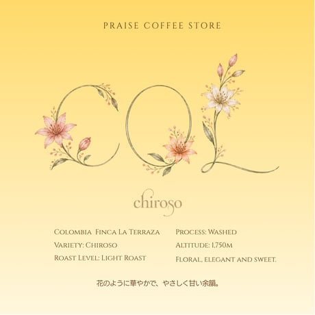 【Top Specialty】コロンビア ラ・テラサ農園　チロソ種 ウォッシュド/ Colombia Chiroso Washed　100g/3,000円(税込価格)