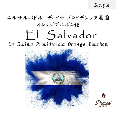【NEW】【Single Coffee】El Salvador エルサルバドル | La Divina Providencia Orange Bourbon    100g/1,200円(税込)