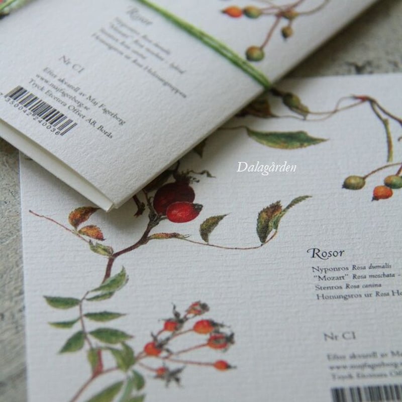 ミニシューモールド＆木製POSTCARDのセット セール】コンパクトジャケット×プリーツミニスカート