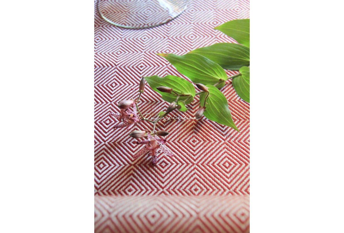 VL-05 ヴェクスボリン テーブルランナー Rutigstrandråg borde