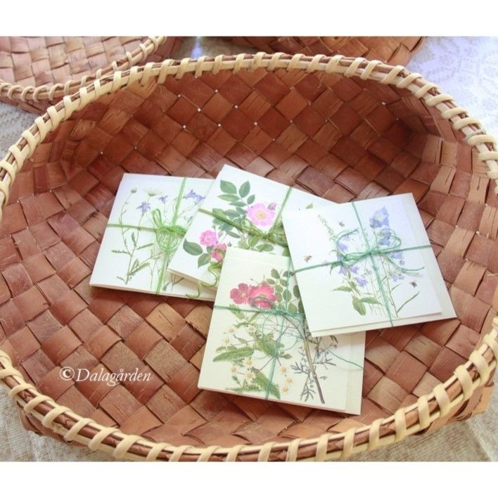 RU-03 白樺かご Lサイズ | ダーラナガーデン