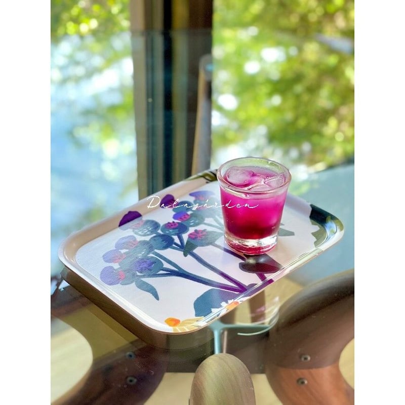 JT-58 ヨブス モーニングトレイ Rhubarb ルバーブ | ダーラナガーデン