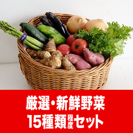 うりぼう野菜セット4000