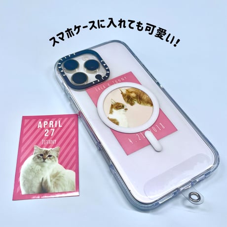ニャンカレ【復刻版!】愛猫ちゃんのプリントステッカーつき