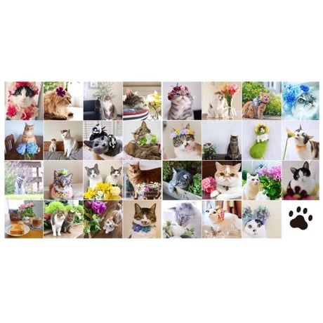 ニャンカレ【復刻版!】愛猫ちゃんのプリントステッカーつき
