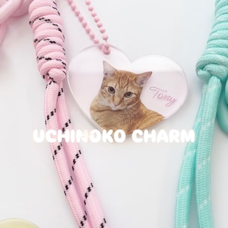 おしゃれ♥アクリルバッグチャーム