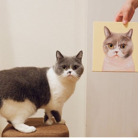 25cm×25cm　木枠セットアート（愛猫ちゃんの肖像画）