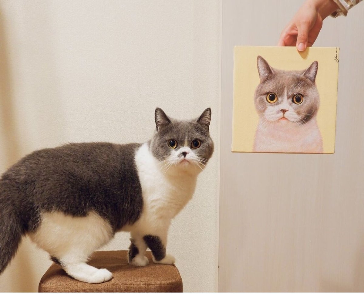 オーダーの品　猫の肖像画 オーダーの品猫の肖像画