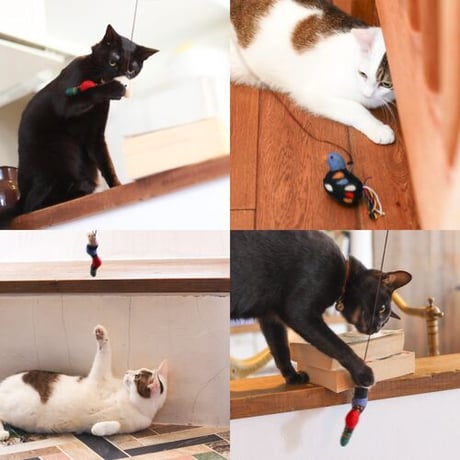 【GROOM】 グルーム CAT TEASER 釣竿セット ねこじゃらし