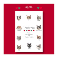 SUPPORNYANS POST CARD ⑤アップル