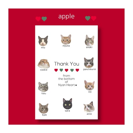 SUPPORNYANS POST CARD ⑤アップル