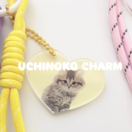 おしゃれ♥アクリルバッグチャーム