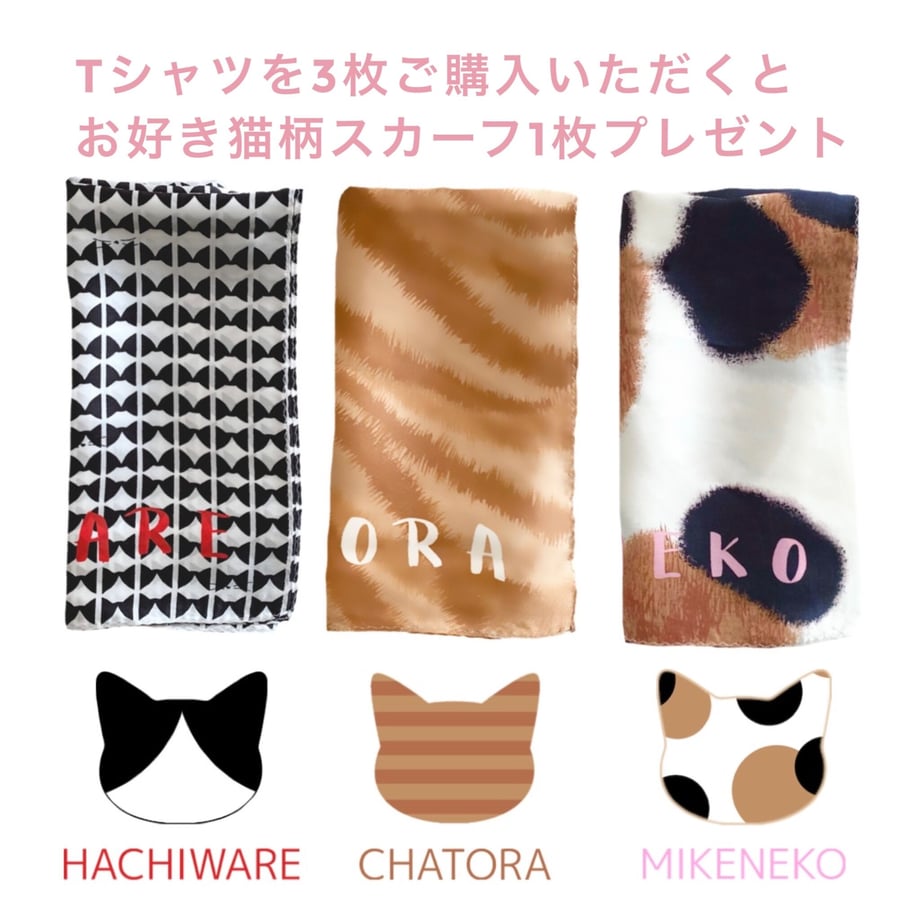 643e34554c27e8002a4127d5