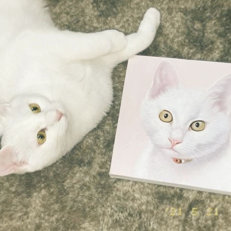 25cm×25cm　木枠セットアート（愛猫ちゃんの肖像画）