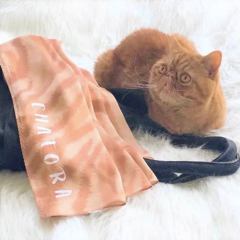 フランシュリッペ　ぶすねこ大判スカーフ 新品】フランシュリッペ 大判ストール スカーフ - メルカリ