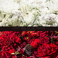 world's end girlfriend / LAST WALTZ IN TOKYO [2CD]
