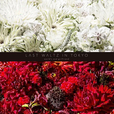 worldsendgirlfriend | STORES