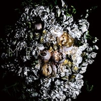 world's end girlfriend / MEGURI [CD]