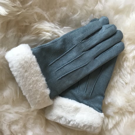 Glove/Blue