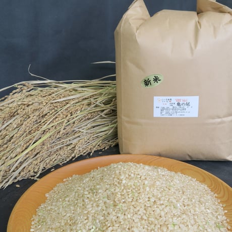 『2024年産　　ササシグレ　玄米』5kg