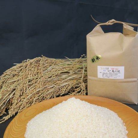 『2024年産　　亀の尾　白米』2kg