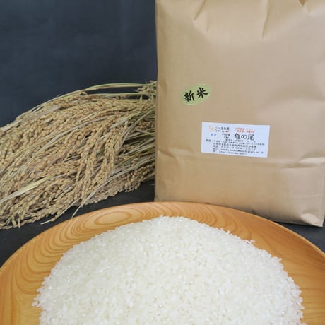 『2024年産　　ササシグレ　白米』5kg