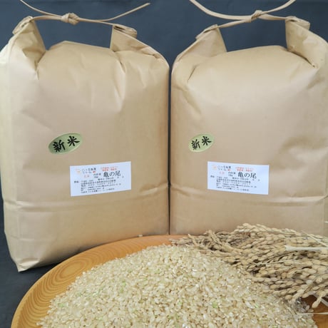 「2024」産　　亀の尾　玄米』10kg