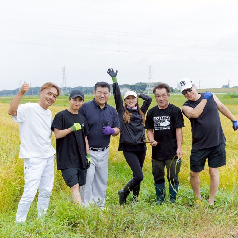 渡辺美奈代オリジナル 374米 | Minayo Select