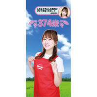 渡辺美奈代オリジナル　374米