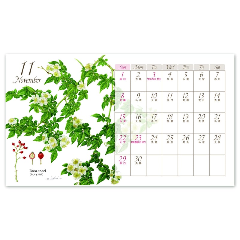 渡辺美奈代本人の直筆サイン入り】2026年卓上カレンダー クラシック