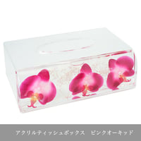 アクリルティッシュボックス　ピンクオーキッド　商品番号 	pa-58748