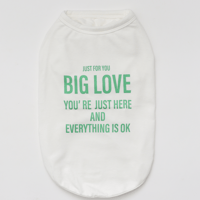 【犬用】適温キープ・BIG　LOVE　Tシャツ【グリーン】cn-1051-gr