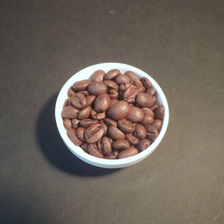 コスタリカ　PN　グレースハニー（中煎り） /100g