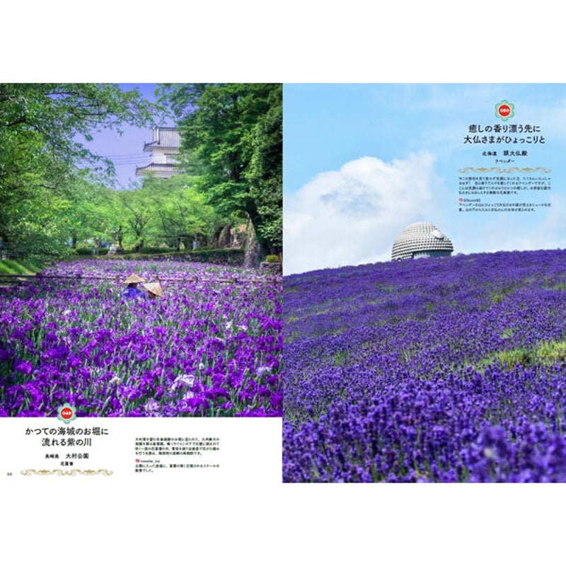 本］世界中に贈りたい 花の絶景100【特典ポストカード付