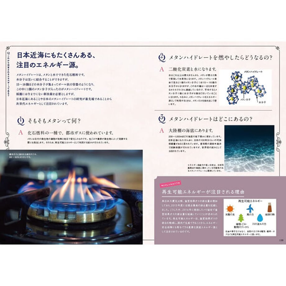 6094cac8df62a92a5575c15e