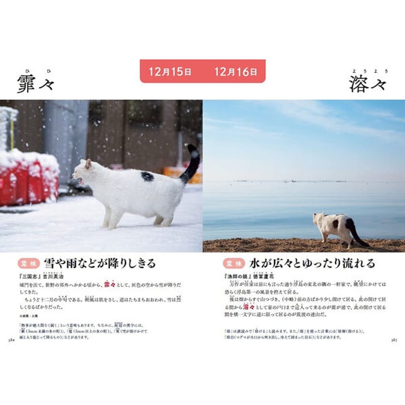 本］366日のにゃん言葉 | 三才ブックス オンラインショップ