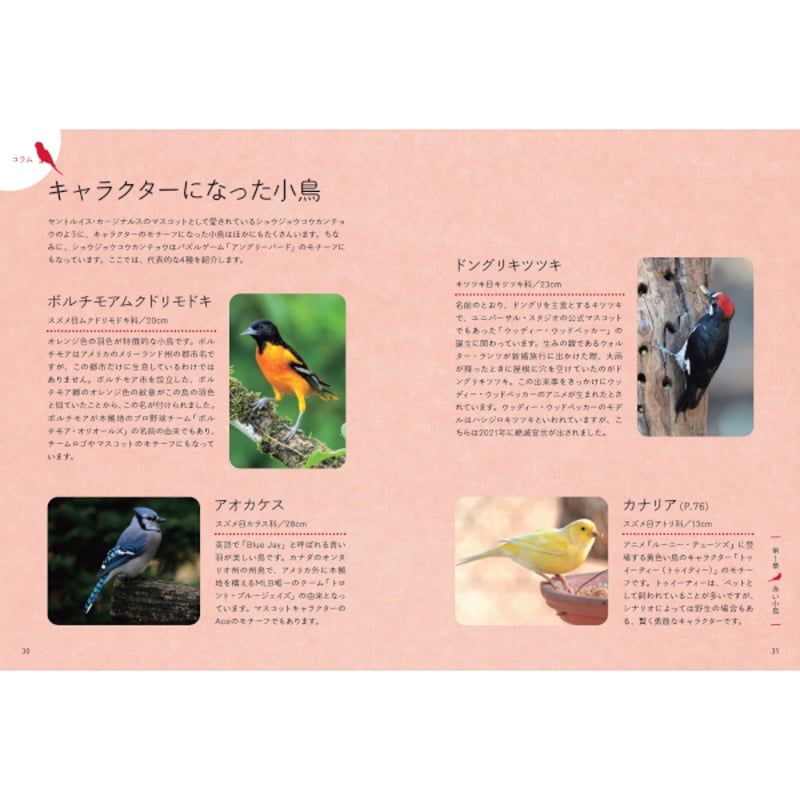 本］しあわせの一羽を探す 小鳥の図鑑 | 三才ブックス オンラインショップ