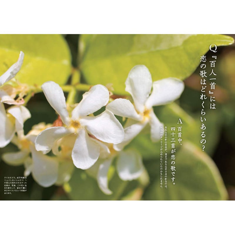 本］世界でいちばん素敵な百人一首の教室 | 三才ブックス オンライン