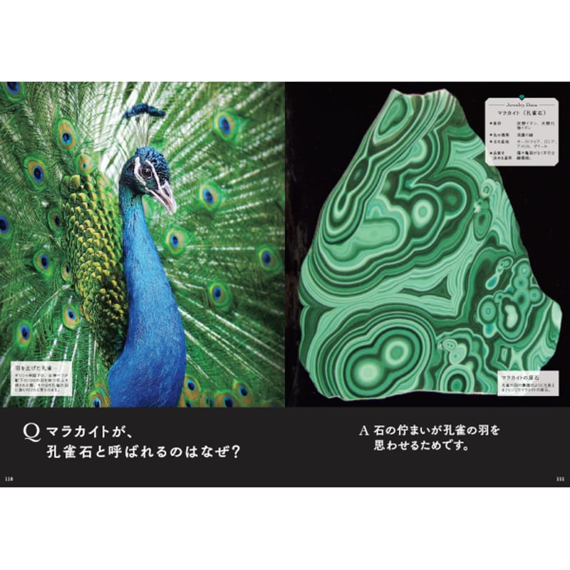 本］世界でいちばん素敵な宝石の教室 | 三才ブックス オンライン