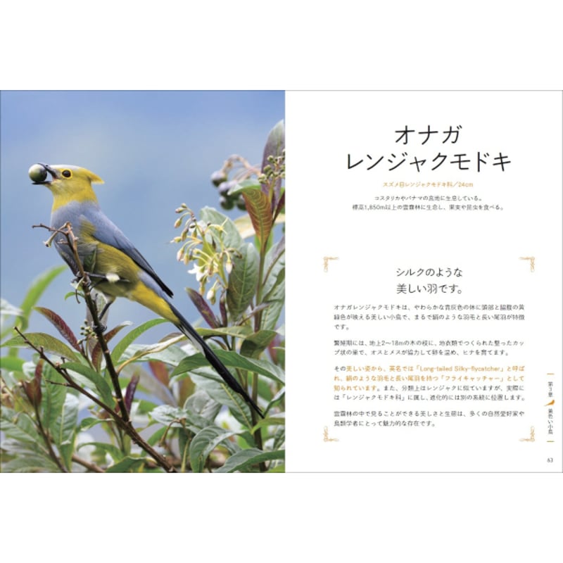 本］しあわせの一羽を探す 小鳥の図鑑 | 三才ブックス オンラインショップ