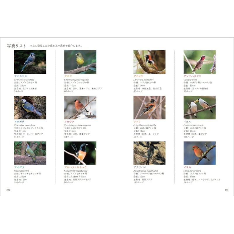 本］しあわせの一羽を探す 小鳥の図鑑 | 三才ブックス オンラインショップ