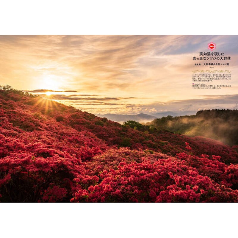 本］世界中に贈りたい 花の絶景100【特典ポストカード付】 | 三才