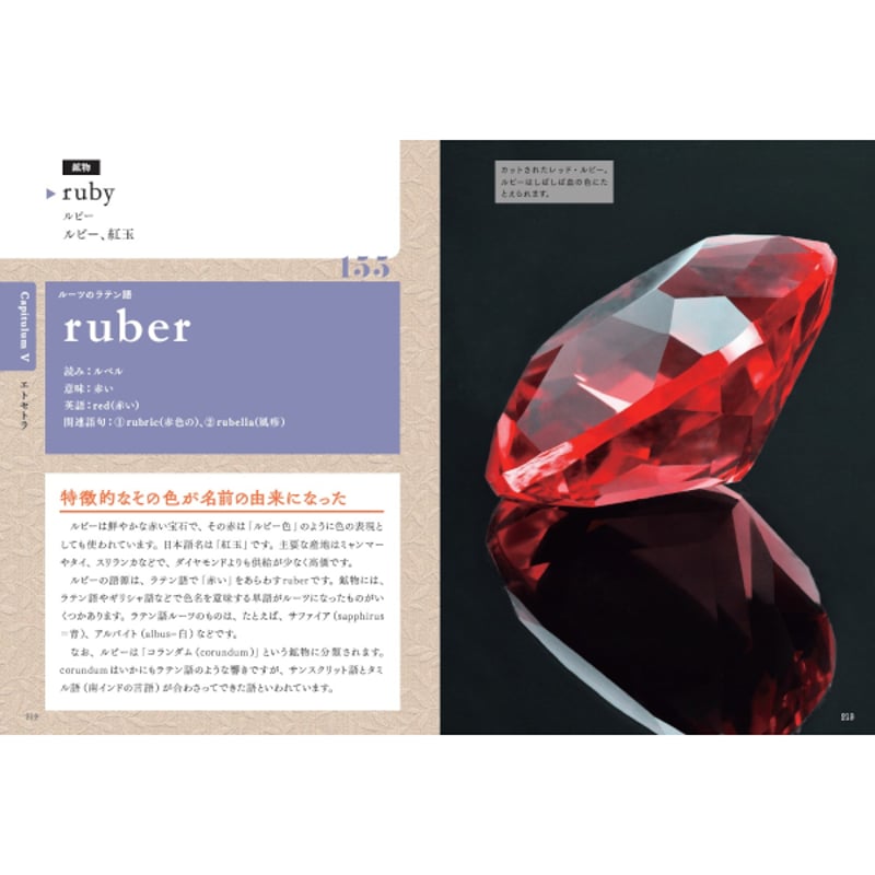 本］小さなラテン語図鑑 | 三才ブックス オンラインショップ