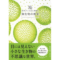 本］世界でいちばん素敵な教室シリーズ 西洋美術が楽しくなる4冊セット