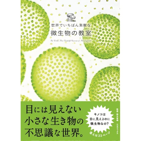 世界でいちばん素敵なシリーズまとめ売り　美品21巻セット 69b0142f515fae28954a57a48312b6