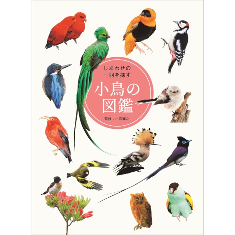 【最強陽乃鳥図鑑 】三部作セット売り 新政酒造 特別頒布会2025「最強 陽乃鳥図鑑」 | 定価並で購入した日記